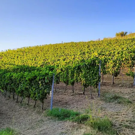 Tenuta Baravalle Bed & Breakfast 3*