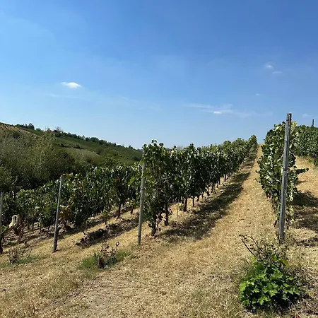 Cadgal - Tenuta La Cova