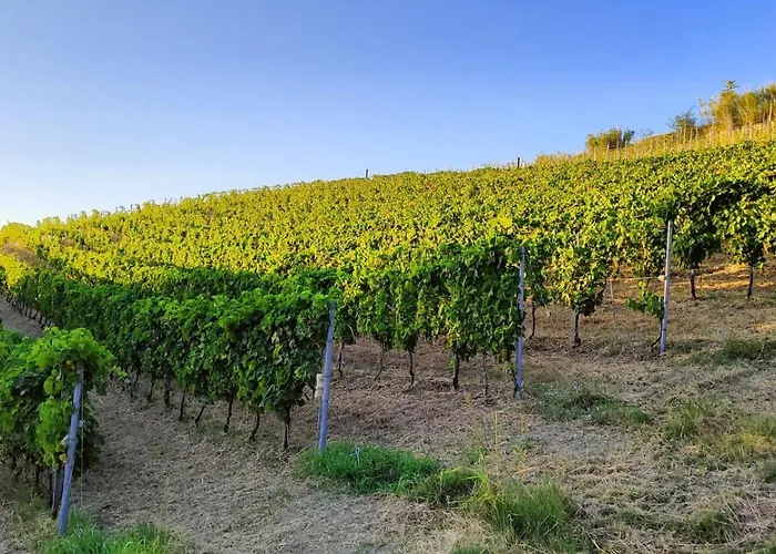 Cadgal - Tenuta La Cova ベッド・アンド・ブレックファスト 3*